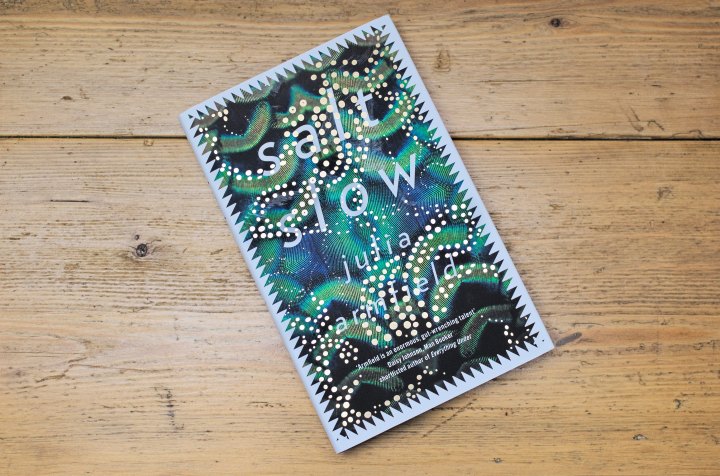 Salt Slow: The Joy of Short&nbsp;Stories